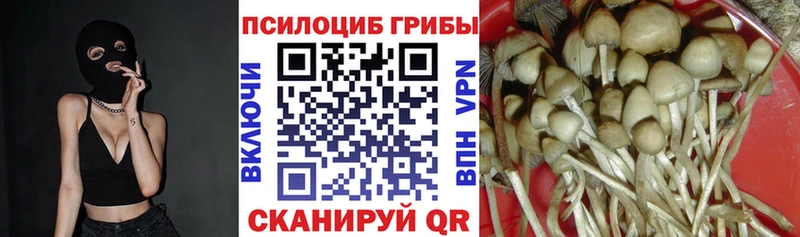 Купить где  Кемь  Псилоцибиновые грибы прущие грибы 